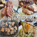 백천 | 경산 삼겹살 맛집 추천 꽃목살도 맛있는 하늘돼지 백천점 후기