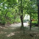 플러스그린렌트카 이미지