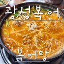 광성복어 이미지