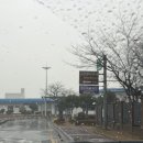 새애양약국 이미지