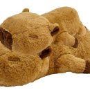 카피바라 주식회사 이미지