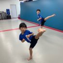 용인대 힘찬 태권도 이미지