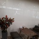 엘리나 필라테스 이미지
