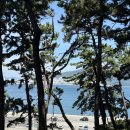 제주특별자치도 장애인요트연맹 | 부산여행 데이트코스로 가기좋은 송도용궁구름다리 , 태종대 그리고 광안리세븐테마카페