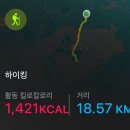 한라산국립공원관음사지구야영장 | 5월 한라산 관음사 코스 왕복 후기 feat.한라산 노루