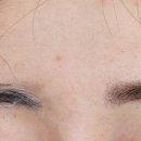 사파동101 이미지