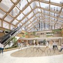 숲속의아침 이미지