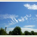 무지개클럽 이미지