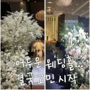 상대회관 | 💍 예신 서사 2화 | 어두운 웨딩홀 견적 비교 솔직후기[연세대학교 동문회관 vs 서울웨딩타워]