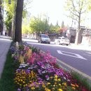 인왕산자락 이야기길 이미지