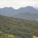 (유)대금 이미지