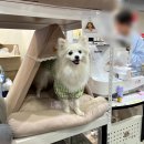 토토리하우스 이미지