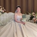 [봄블리] 대망의 웨딩 중간 정산
