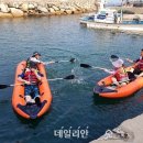 주전어촌체험휴양마을 이미지