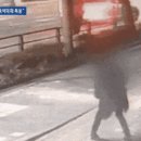 식욕억제제 부작용이라며 마약 투인 부인한 모배우 cctv 화면 gif 이미지