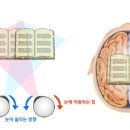 세진안경점 이미지