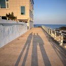 양남주상절리 | [경북/경주] 숨은 명소 ‘경주양남주상절리’ 후기