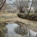 숲깊은 농장 | 용인 계곡식당 캠핑식당 묵리숲, 몸만 가면 되는 감성 캠핑 바비큐&amp;숲속 힐링