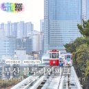 해변II | 부산 해운대 블루라인파크 스카이캡슐 청사포 해변열차 후기