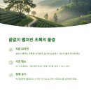 보성체육공원 다향체육관 | 보성 녹차밭 대한다원 5월 여행지 추천｜다향 대축제 일정과 꿀팁 총정리!