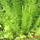 이엠한의원 이미지