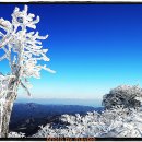 (2011.01.02.일) 100대명산 태백산, 장군봉, 천제단, 망경사 초보 눈꽃산행(서면출발 ^^) 이미지