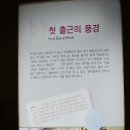 문경관광진흥공단 노동조합 | 생태와 기술, 문화 콘텐츠의 만남 문경 에코월드