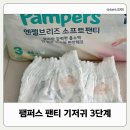 P&G 소프트 | 5개월 아기 기저귀, 팸퍼스 엔젤브리즈 소프트팬티 후기