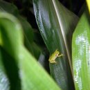 한솔이네농장 이미지