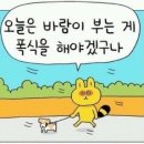 스테이여우잠3