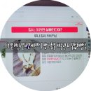 뚱댕 이미지