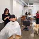 새서울 미용실 이미지