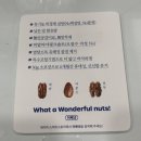 대구 더현대 1월초 팝업. 핑구 피스터블 초콜릿EBE NUT 수바코