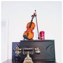 더 스테이584 이미지