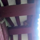 털보농장 이미지