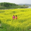 입면사무소 이미지