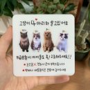 치타박스 | 세상에 하나뿐인 우리 아이 얼굴로! '치타박스' 커스텀 포토 도어사인