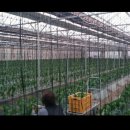 만천농장 이미지