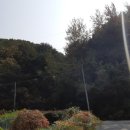 내서읍126 이미지