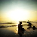 몰운대성당 이미지