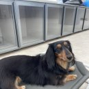 눈보뛰 프리미엄 이미지