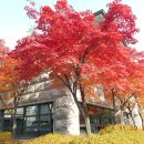 치악예술관 이미지