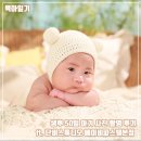 생후 50일 아기 사진 무료촬영 후기 ft. 단비스튜디오 베이비파스텔 용인
