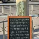 소년돼지