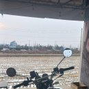 윌리독(wheeliedog) 이미지