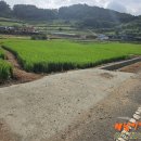 화원면사무소 이미지