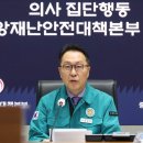 가배정인 이미지