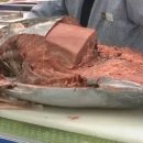 태평양광택 이미지