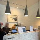 비고리조트 15 이미지