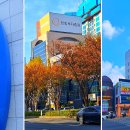 버스정류장(죽전네거리 2) 이미지